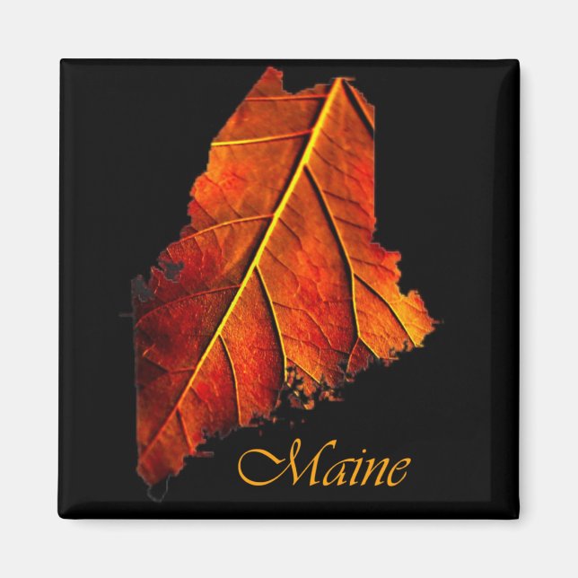 Imã Maine Gift Magnet Souvenir (Frente)