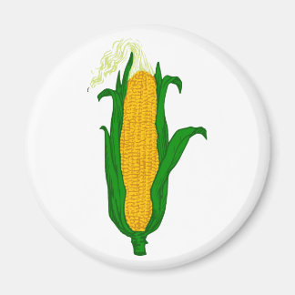 Imã Maio maçaroca corn cob