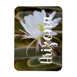 Ímã Maio no jardim, Arizona