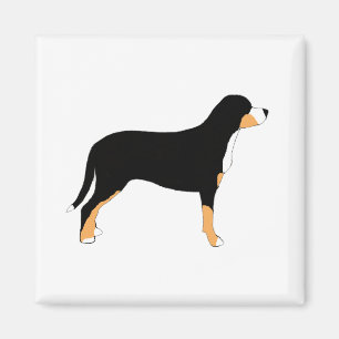 Imã maior silhueta suíça da cor do cão da montanha