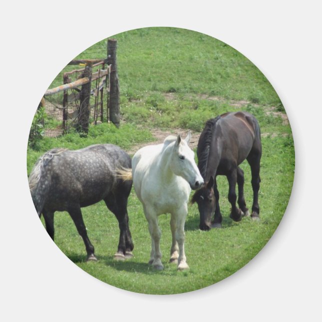 Imã Mais cavalos! (Frente)