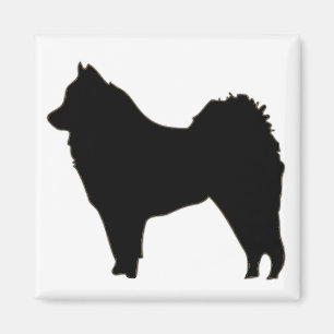 Imã mais eurasier