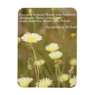 Ímã Mais forte do que você acredita - Magnet