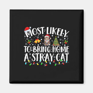Imã Mais Provável Para Trazer Para Casa Um Gato Estran