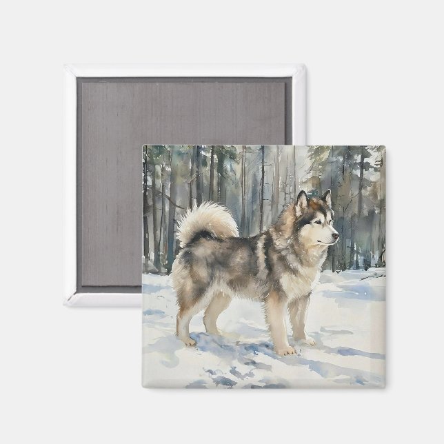 Imã Malamute do Alasca (Front/Back)