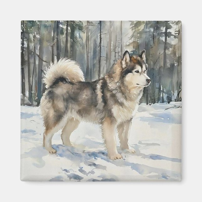 Imã Malamute do Alasca (Frente)