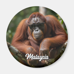 Imã Malásia Orangutan com óculos de sol