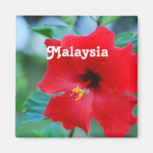 Imã Malaysia
