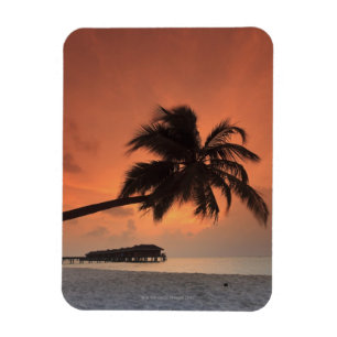 Ímã Maldives, atol de Meemu, ilha de Medhufushi,