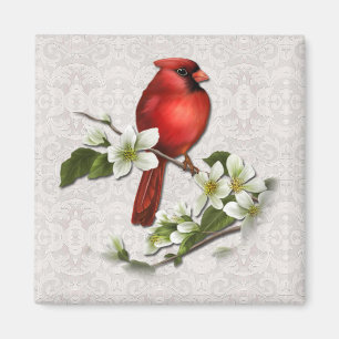 Imã Male Cardinal em Dogwood Magnet