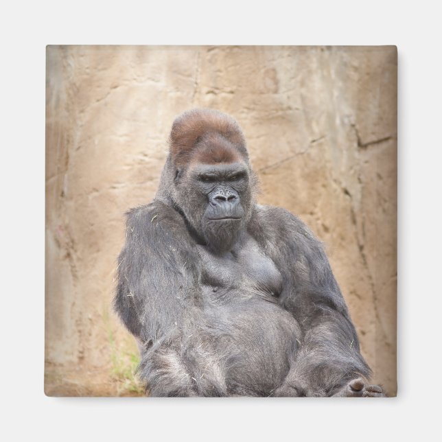 Imã Male Gorilla (Frente)