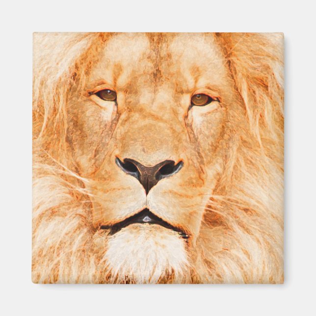 IMÃ MALE LION (Frente)