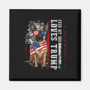 Imã Malinois Belgas Até Meu Cão Adora Trump Engraçado