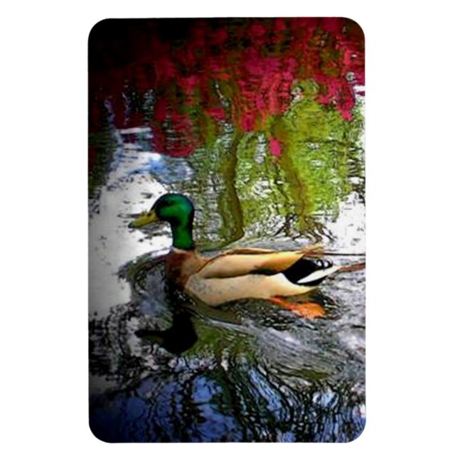 Ímã Mallard Duck (Vertical)