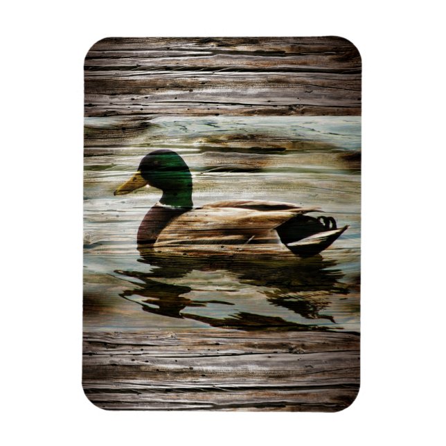 Ímã Mallard Duck (Vertical)