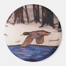 Mallard Duck em uma missão