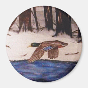Imã Mallard Duck em uma missão