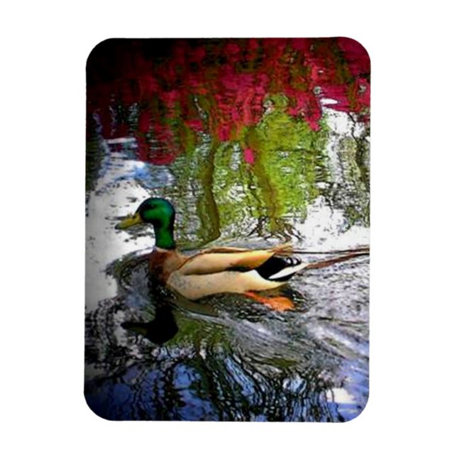 Ímã Mallard duck Magnet-Design 2 (Vertical)