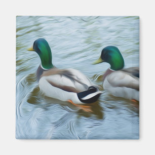 Imã Mallard Ducks
