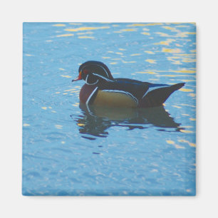 Imã Mallard Magnet