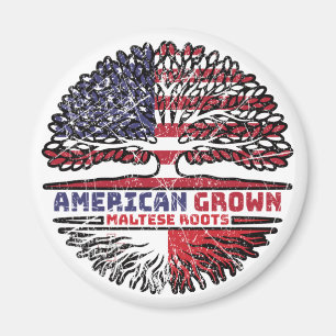 Imã Malta Malta US American USA United States Tree