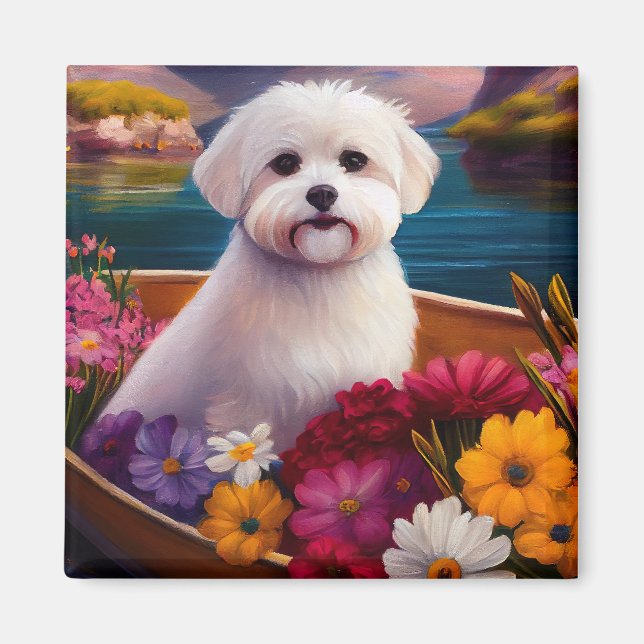 Imã Maltês em um remo: Uma aventura cênica (Frente)