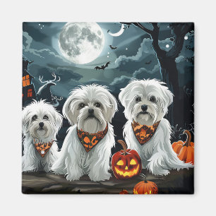 Imã Maltês Halloween Spooky