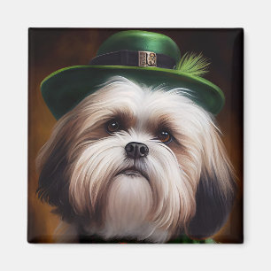 Imã Malti Tzu Cachorro na Rua.