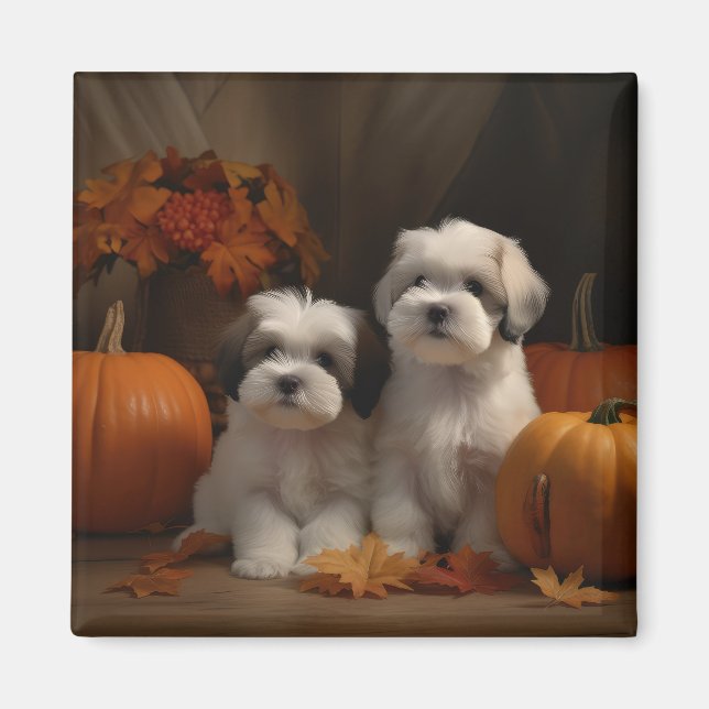 Imã Malti tzu Puppy Autumn Delight Pumpkin (Frente)