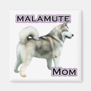Imã Mamã 4 do Malamute do Alasca - ímã