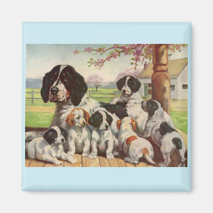 Imã mamã e filhotes de cachorro do spaniel de springe