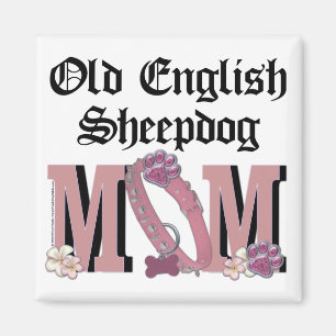 Imã MAMÃ inglesa idosa do Sheepdog
