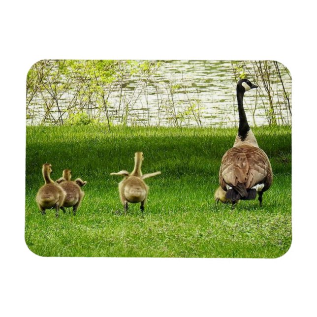 Ímã Mamãe Goose e Goofy Baby (Horizontal)