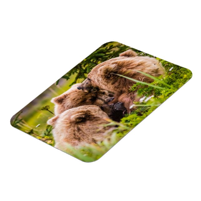 Ímã Mamãe urso cuidando de seus dois filhotes, Lago Cl (Left Side)