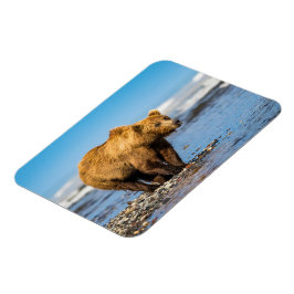 Ímã Mamãe urso observando seus dois filhos