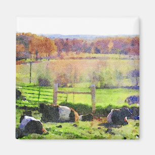 Imã Manada de vaca galloway cinturada com pintura aquo