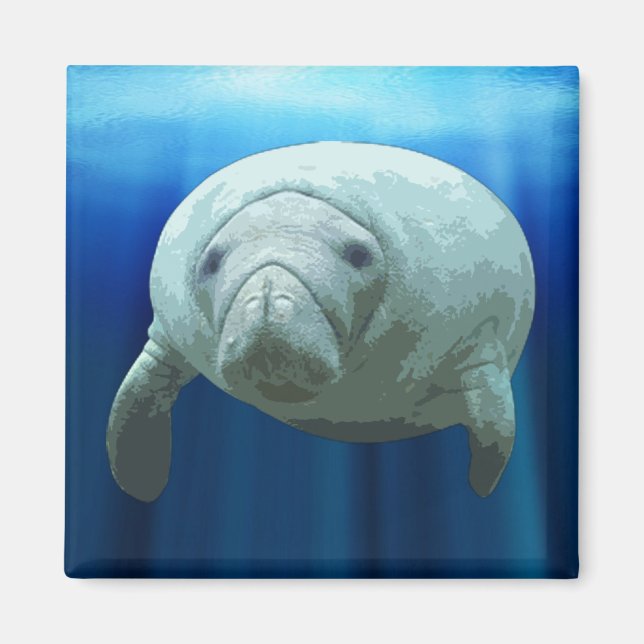 Imã Manatee Magnet (Frente)