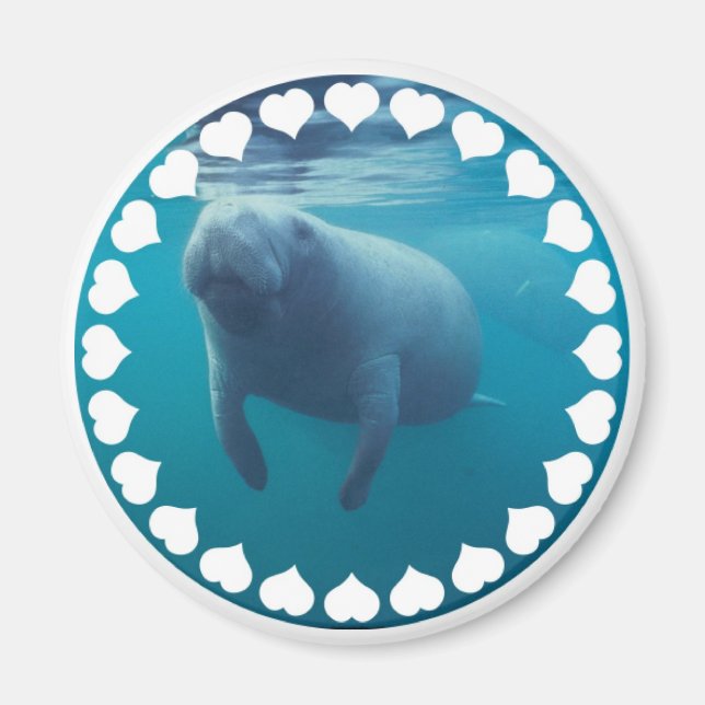 Imã Manatee Magnet (Frente)