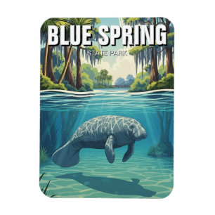 Ímã Manatim no Blue Spring State Park
