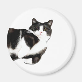 Imã Manchester é "Oi!" Íman