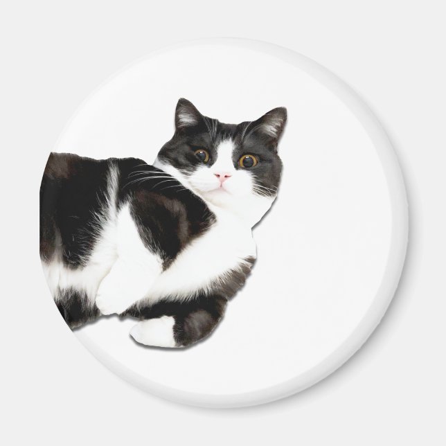 Imã Manchester é "Oi!" Íman (Frente)