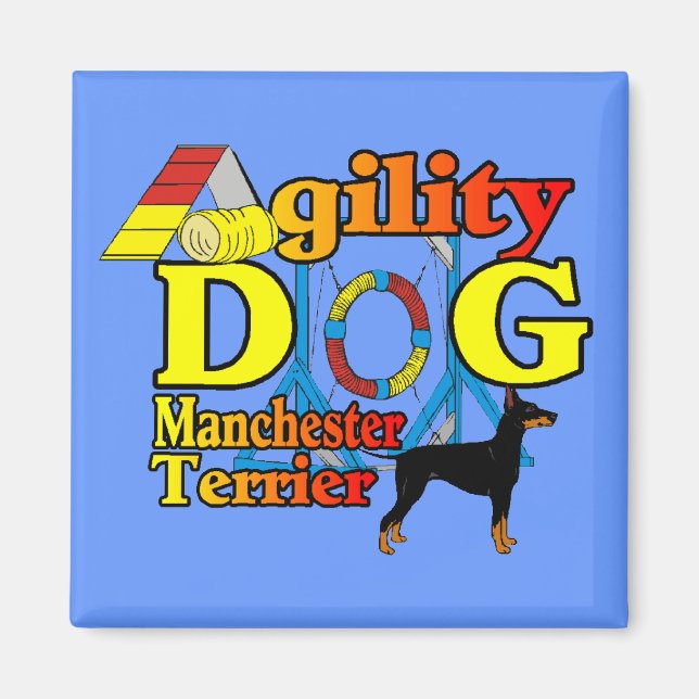 Imã Manchester_Terrier_Agilidade (Frente)
