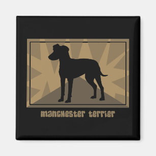 Imã Manchester Terrier da terra
