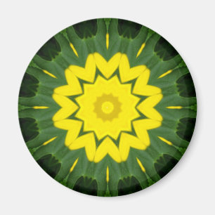 Imã Mandala 06 da flor