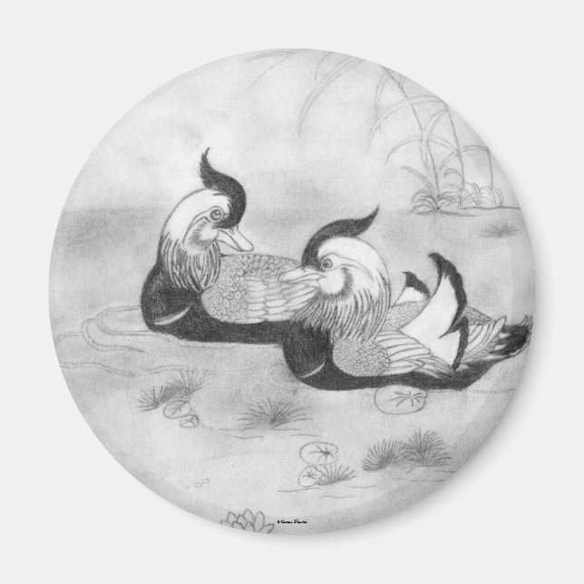 Imã Mandarin Ducks (Frente)