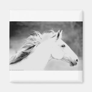 Imã Mane LIN26BW no Wind.tif