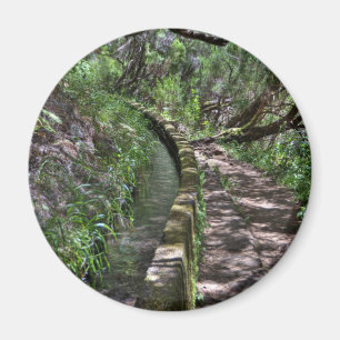 Imã Maneira de estrada de Madeira