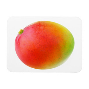 Ímã Mango