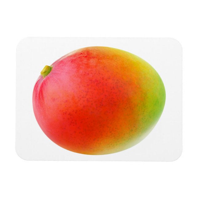 Ímã Mango (Horizontal)