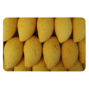 Ímã Mango